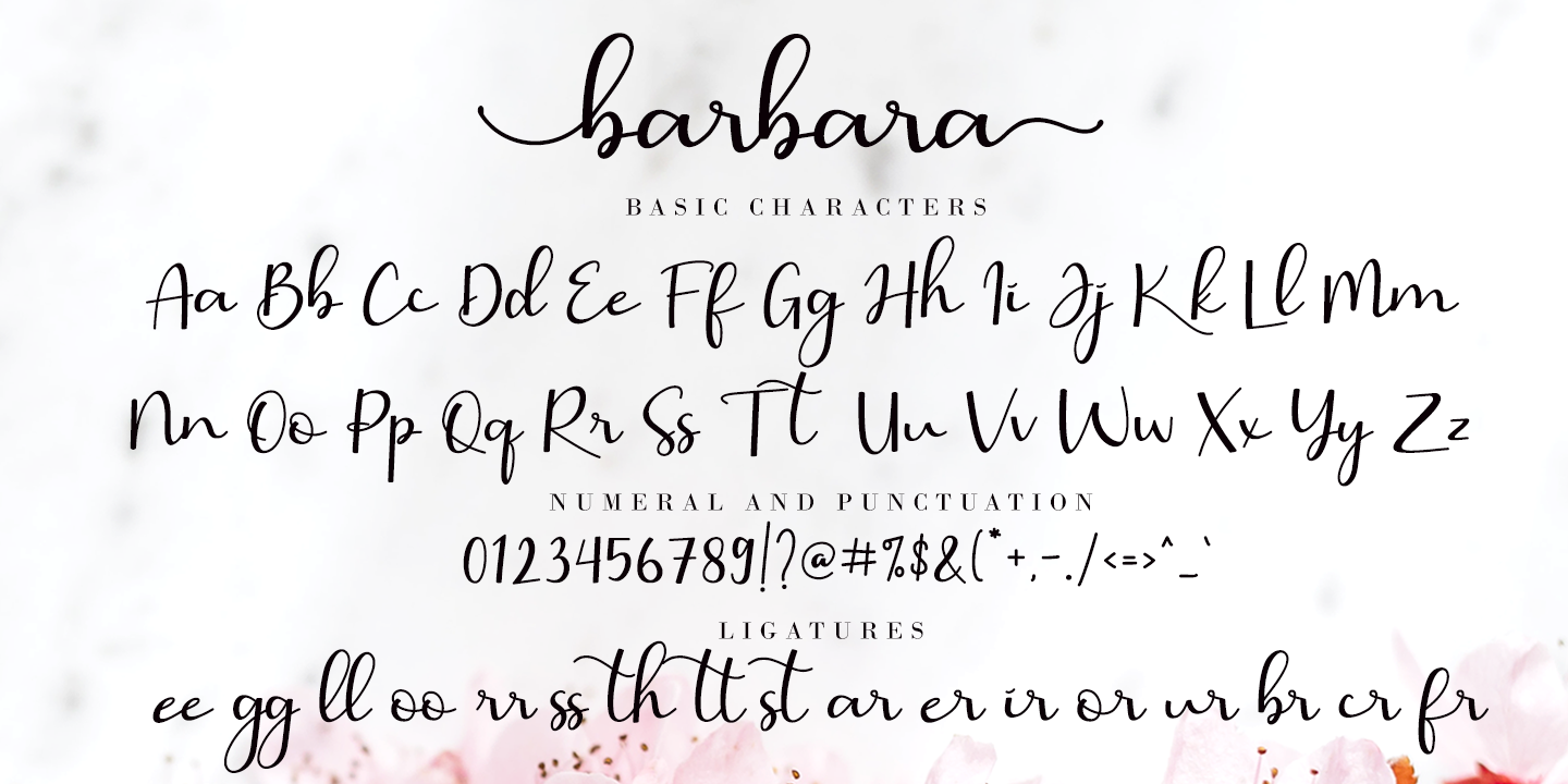 Example font Barbara Calligraphy #3